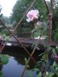 tn_gallery_32730_5762_26196.jpg