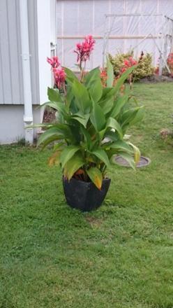 gallery_5036_5573_3604.jpg