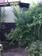 tn_gallery_78599_5767_21516.gif