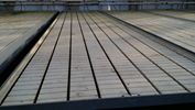 gallery_80953_5785_1465.jpg
