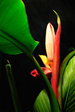 gallery_57651_5778_7071.jpg