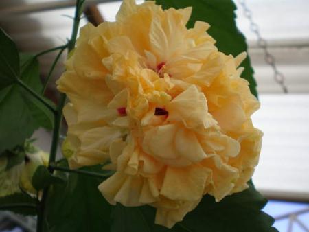 gallery_10951_1595_40910.jpg