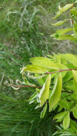 gallery_82070_5861_296955.jpg