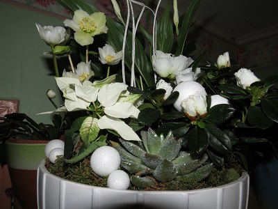 gallery_352_2206_44650.jpg