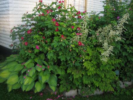 gallery_4824_5104_162236.jpg