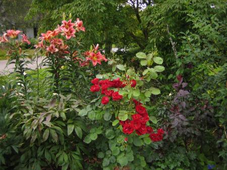 gallery_4824_5104_397744.jpg