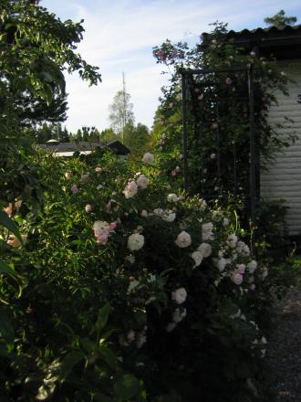 gallery_4824_5104_91961.jpg