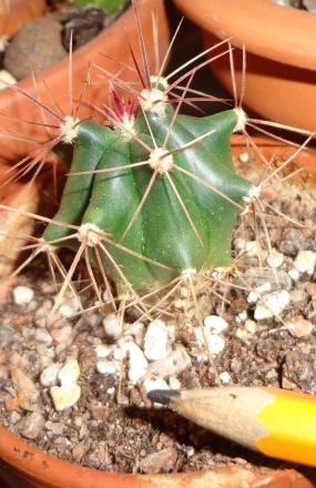 gallery_77196_5367_106413.jpg