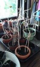 gallery_5354_5706_22393.jpg