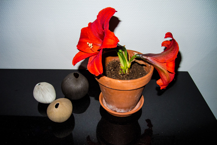 gallery_25358_4256_83373.jpg
