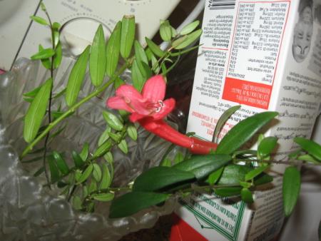 gallery_14274_6015_206430.jpg