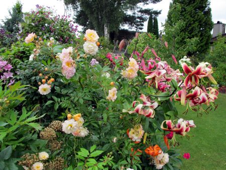 gallery_276_1649_9064.jpg