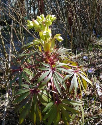 gallery_84735_6146_171088.jpg