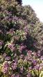 tn_gallery_82700_6148_34854.jpeg