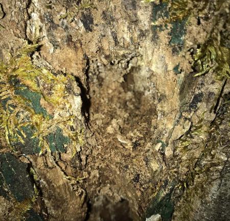 gallery_85697_6190_448983.jpg