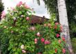 tn_gallery_276_1247_14167.jpg
