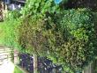 tn_gallery_32008_6280_117717.jpg