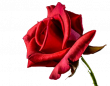 tn_gallery_87257_6440_18764.png
