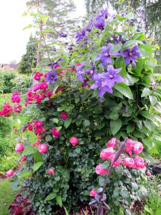 gallery_276_1328_47121.jpg