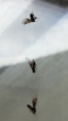tn_gallery_1867_6482_269350.png