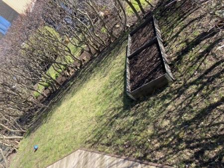 gallery_90883_6538_162698.jpeg