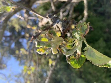 gallery_91689_6585_17576.jpeg