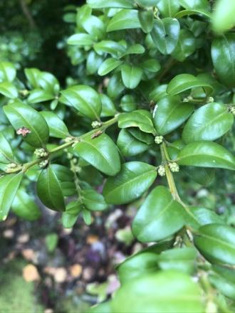 gallery_92744_6654_11713.jpeg