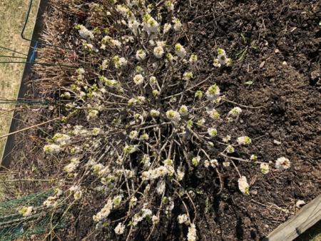 gallery_92744_6713_19723.jpeg