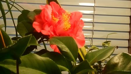 gallery_93303_6689_256859.jpg