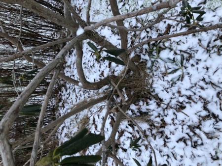 gallery_93442_6692_43969.jpeg