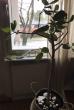 tn_gallery_93309_6690_32738.jpeg