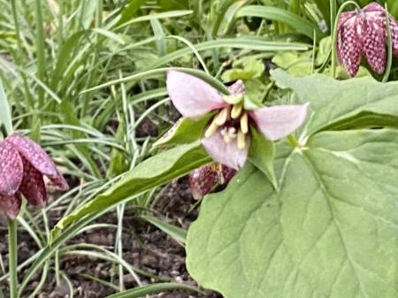 gallery_93540_6728_221138.jpeg