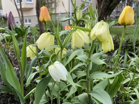 gallery_93540_6728_290634.jpeg