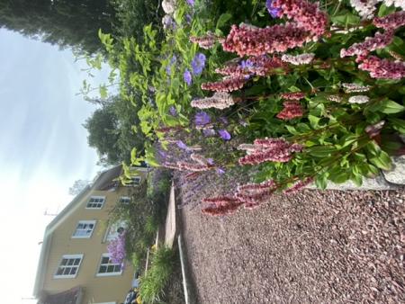 gallery_93540_6729_29474.jpeg