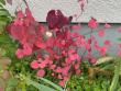 tn_gallery_93540_6728_35296.jpeg