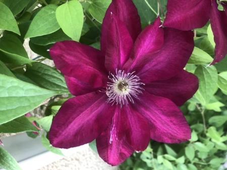 gallery_93540_6728_27372.jpeg