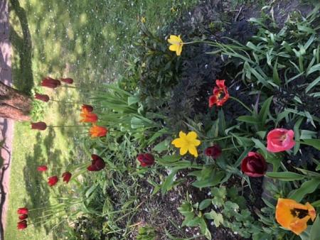 gallery_93540_6728_58854.jpeg
