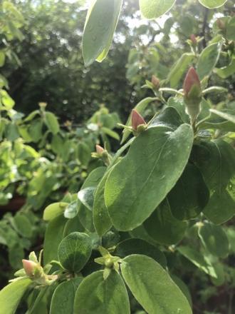 gallery_93540_6728_76951.jpeg