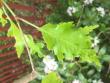 tn_gallery_93540_6728_11553.jpeg