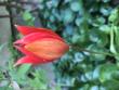tn_gallery_93540_6728_49475.jpeg