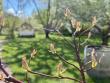 tn_gallery_93540_6728_83482.jpeg