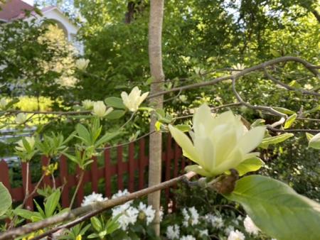 gallery_93540_6728_11407.jpeg