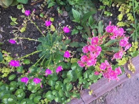 gallery_93540_6728_78884.jpeg