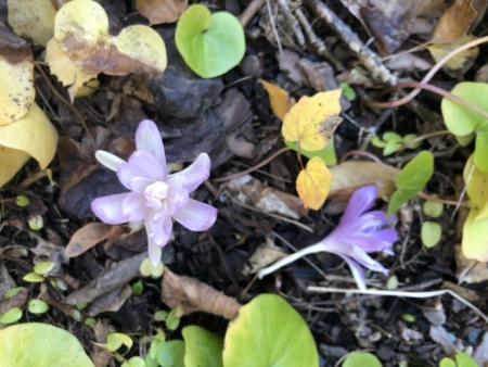 gallery_93540_6730_105211.jpeg