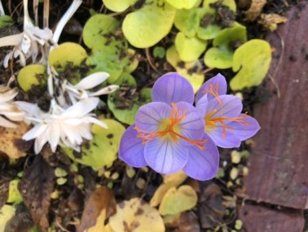 gallery_93540_6730_31050.jpeg