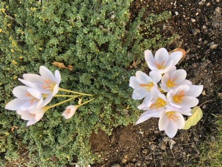 gallery_93540_6730_37462.jpeg