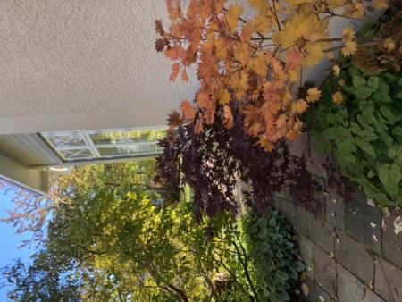 gallery_93540_6730_95000.jpeg