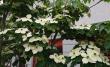 tn_gallery_14383_6736_98447.jpg