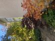 tn_gallery_93540_6730_95000.jpeg
