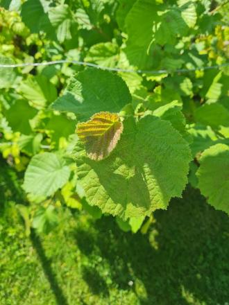 gallery_95004_6757_92802.jpg